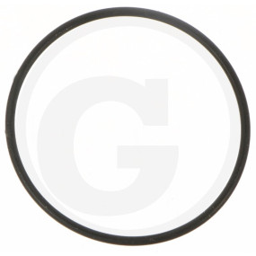 O-Ring N70 37,00 X 1,20 Granit