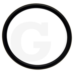 O-Ring Granit 38002779
