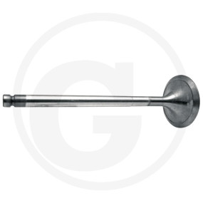 Einlassventil Granit 38015516