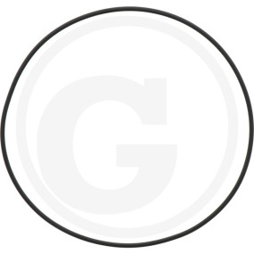Dichtring 171,05 X 3,53 Mm Granit 4050090150017