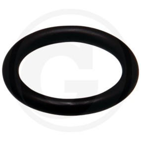 O-Ring Granit 40504051928