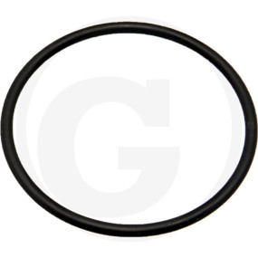 O-Ring 42X2,4Mm Granit 40504051980
