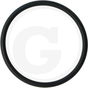 O-Ring 54X4 Aufnahmeteil/Dichtscheibe Granit