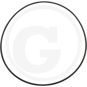 O-Ring 280 X 6 Mm Granit 40504052390