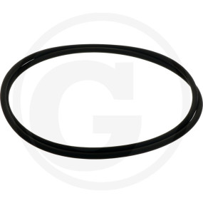 O-Ring 368 X 6 Mm Granit 40504052402