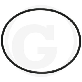 O-Ring 242 215,3X6,99 8'' Granit 405070200004
