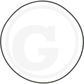 O-Ring 3,5X205 Granit