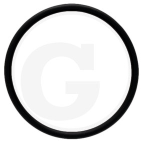 O-Ring 156 Plug Br-Evo 170 Nbr Granit 4054440001068
