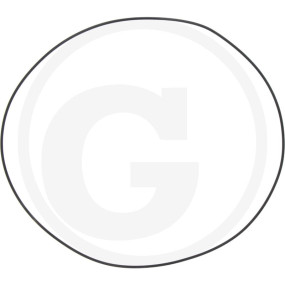 O-Ring 304.4X3.53 Granit