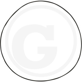 O-Ring für Oberteil Granit 4057805B032