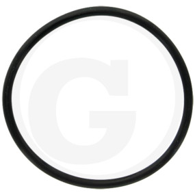 O-Ring 55 X 3 Granit 410010775
