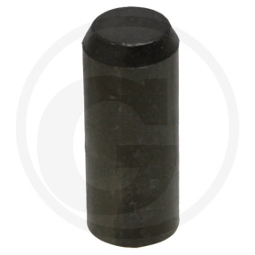Lagerbolzen Granit 410067031R