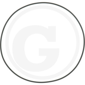 O-Ring 202.79X3.53 Viton Granit