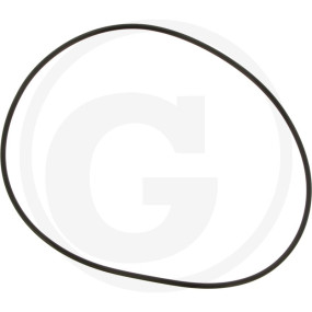 O-Ring 164.69X3.53 Granit