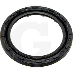 Seal Ring 45X60X5 /6.5 Granit 419148687