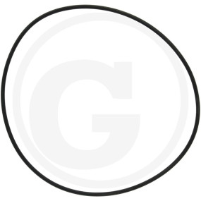 O-Ring Or 140X3 Granit