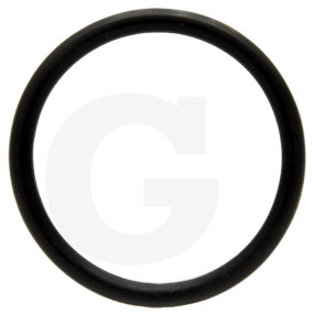 Dichtring 36X3,5 Gu 65 Granit 475014754