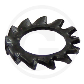 Vpe500 Din 6798 A6,4X11 Faecherscheibe Granit 487679801