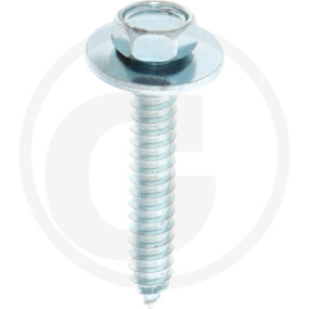 Vpe50 Din 6901 6,3X38 Vz Schraube Granit 4876901017