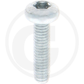 Vpe1000 Din 7500 St. Ce M 4 X 16 -T Vz Granit 4877500103