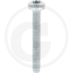 Vpe1000 Din 7500 St. Ce M 4 X 30 -T Vz Granit 4877500106