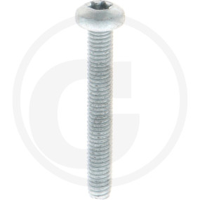 Vpe1000 Din 7500 St. Ce M 5 X 35 -T Vz Granit 4877500114