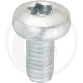 Vpe500 Din 7500 St. Ce M 6 X 12 -T Vz Granit 4877500117