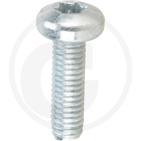 Vpe500 Din 7500 St. Ce M 6 X 20 -T Vz Granit 4877500119