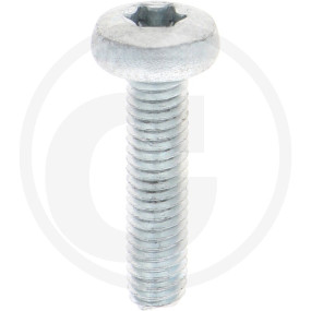 Vpe500 Din 7500 St. Ce M 6 X 25 -T Vz Granit 4877500120