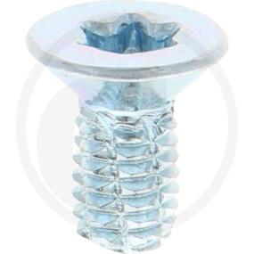 Vpe1000 Din7516 Stahl De M 6X12 -T30 Vz Granit 487751612