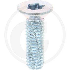 Vpe500 Din7516 Stahl De M 6 X 20 -T30 Vz Granit 487751614