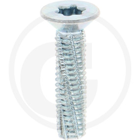Vpe500 Din7516 Stahl De M 6 X 25 -T30 Vz Granit 487751615