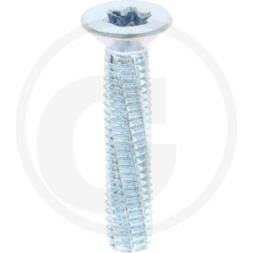Vpe500 Din7516 Stahl De M 6 X 30 -T30 Vz Granit 487751616