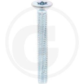 Vpe500 Din7516 Stahl De M 6 X 45 -T30 Vz Granit 487751619