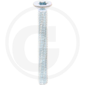 Vpe500 Din7516 Stahl De M 6 X 50 -T30 Vz Granit 487751620