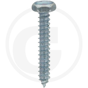 Vpe250 Din 7976 3,9X25 Vz Schraube Granit 4877976015