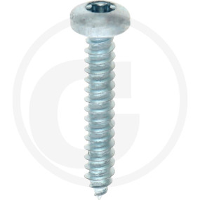 Vpe500 Din 7981 Stahl 4,2 X 25 -C-T Granit 4877981105