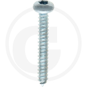 Vpe500 Din 7981 Stahl 4,2 X 32 -C-T Granit 4877981106