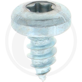 Vpe500 Din 7981 Stahl 4,8 X 9,5 -C-T Granit 4877981112