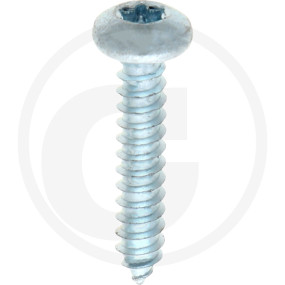 Vpe500 Din 7981 Stahl 4,8 X 25 -C-T Granit 4877981117