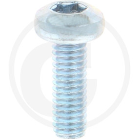 Vpe2000 Din 7985 4.8 M 4 X 12 -T Vz Granit 4877985102
