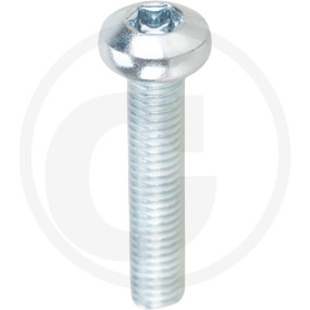 Vpe1000 Din 7985 4.8 M 5 X 25 -T Vz Granit 4877985114