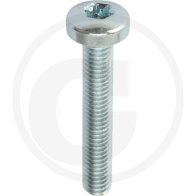 Vpe1000 Din 7985 4.8 M 5 X 30 -T Vz Granit 4877985115