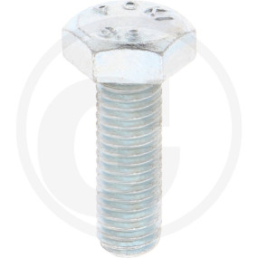 Vpe100 Din 933 8.8 M10X30 Vz Schraube Granit 487933044