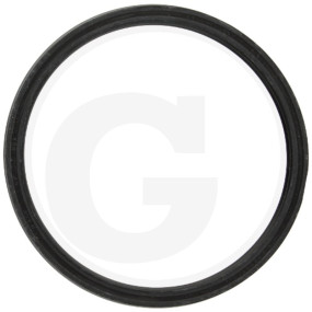 Dichtring Granit 5450501312244