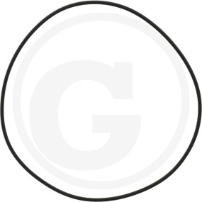 O-Ring Granit