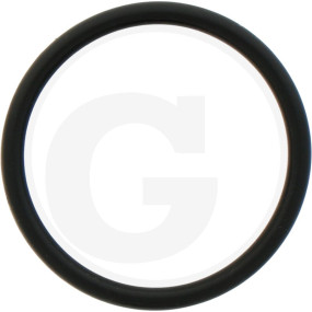 O-Ring Granit 5450634303266