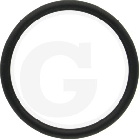 O-Ring Granit 5450634303482