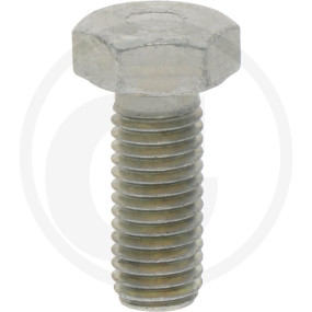 6Kt.schraube Granit 5450636100424