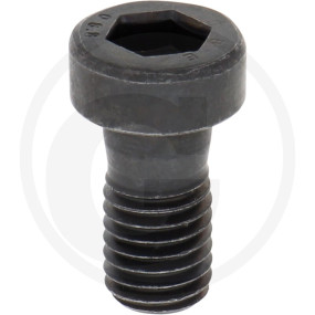 Zyl.schraube Granit 5450636102041